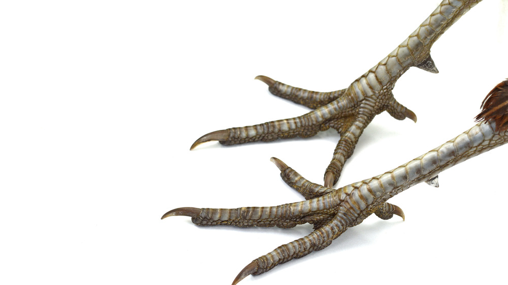 chicken feet on white background