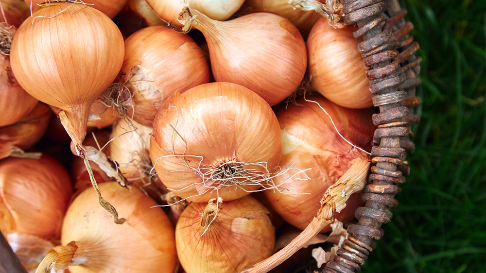 Brown basket with white onions