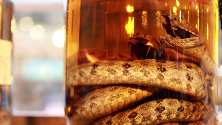 Snake wine 