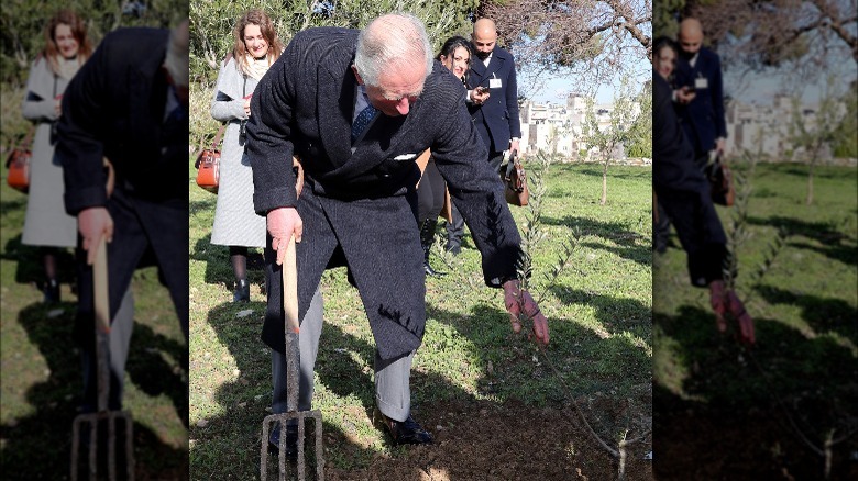 King Charles gardening