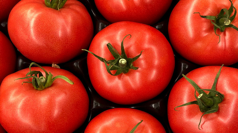 A group of tomatoes