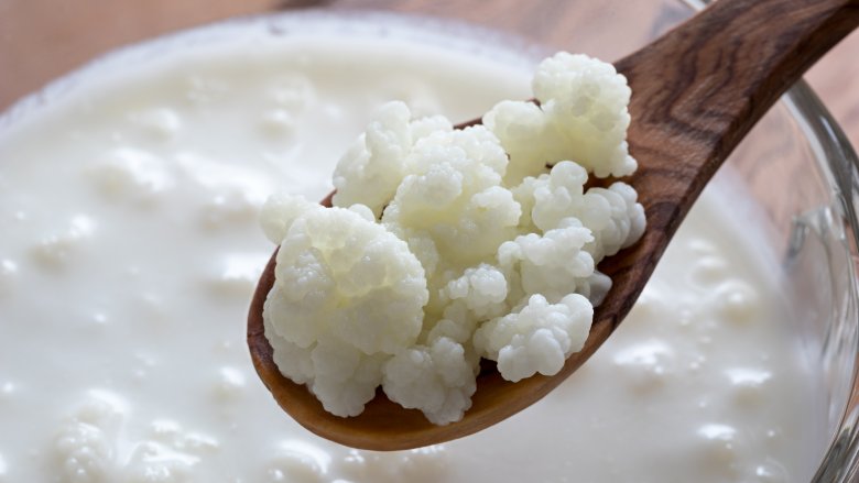 kefir