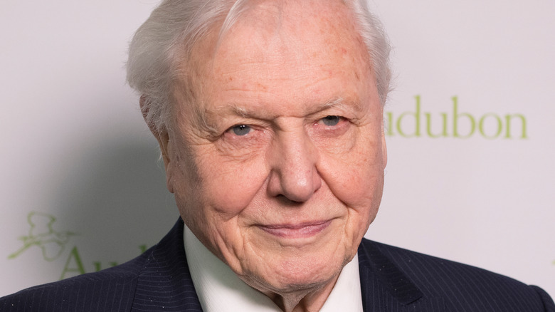 Sir David Attenborough smiling