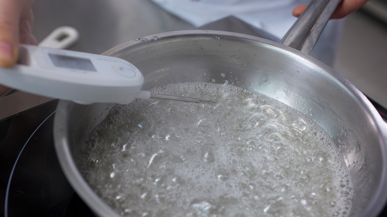 Food thermometer in pot of boiling water