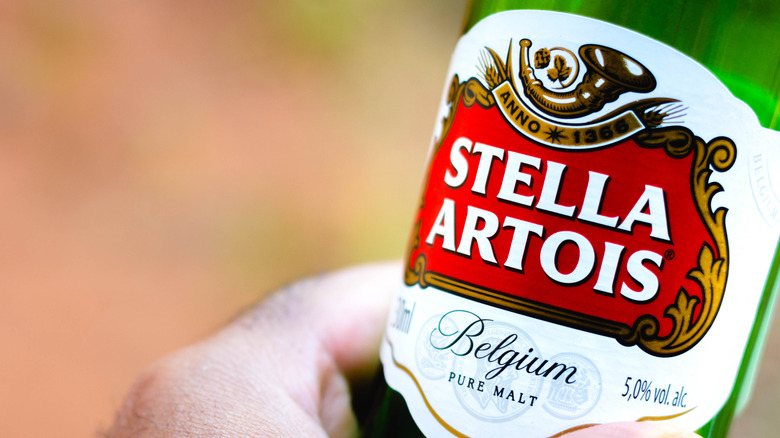 person holding bottle stella artois