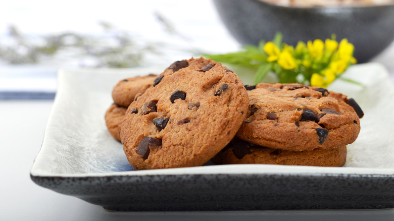 chocolate chip cookies on white plate