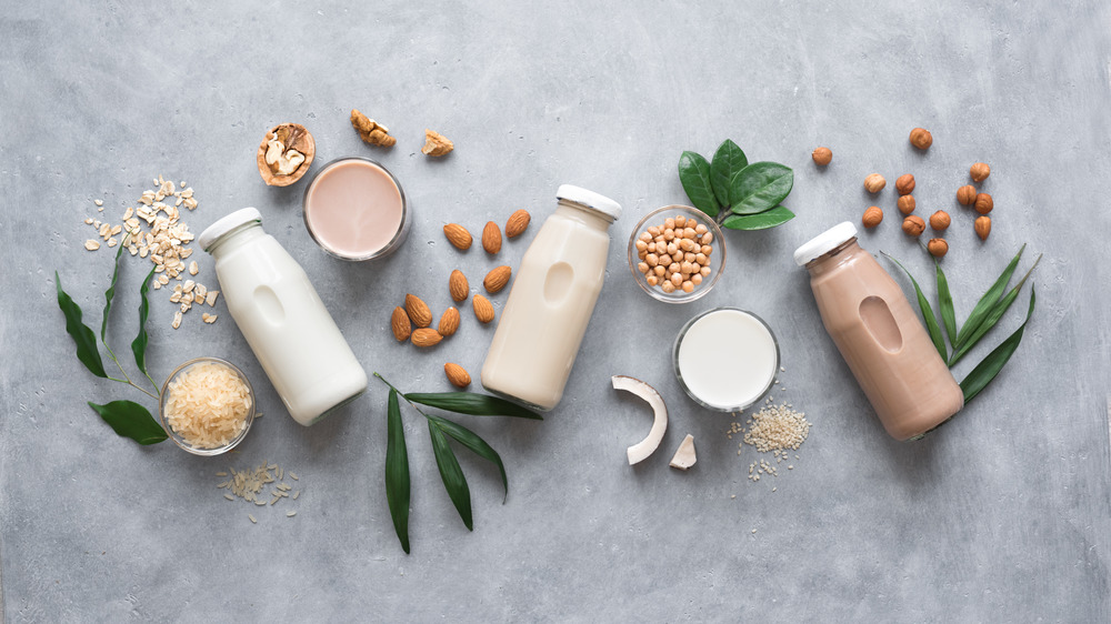 Plant-based milks on a flat lay