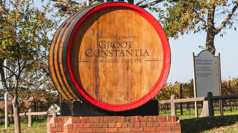 Groot Constantia vineyard