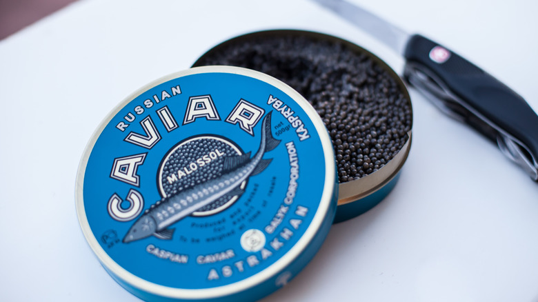 Beluga caviar tin and knife