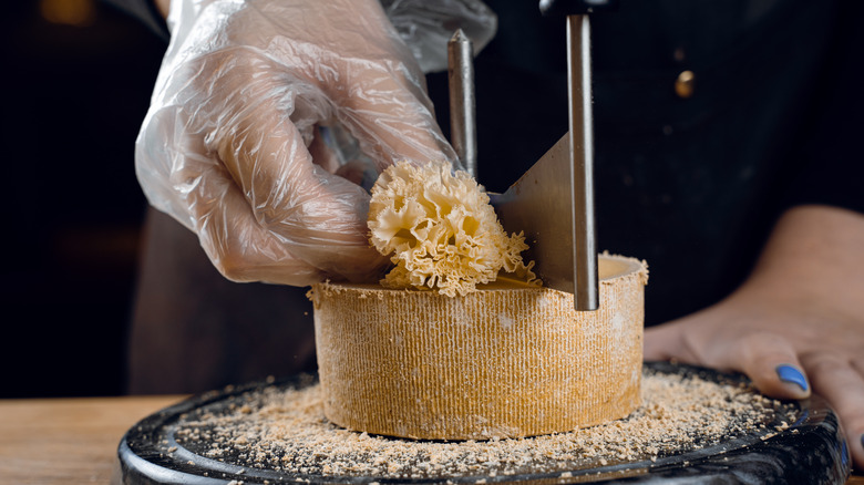 Shaving cheese with girolle