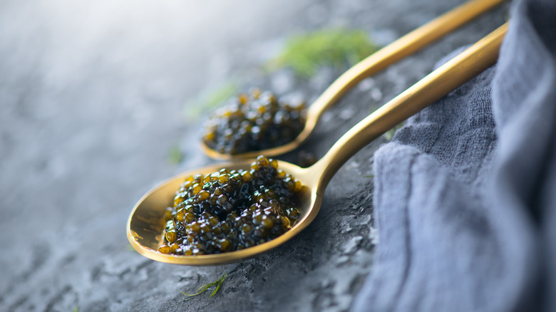 Caviar on a spoon