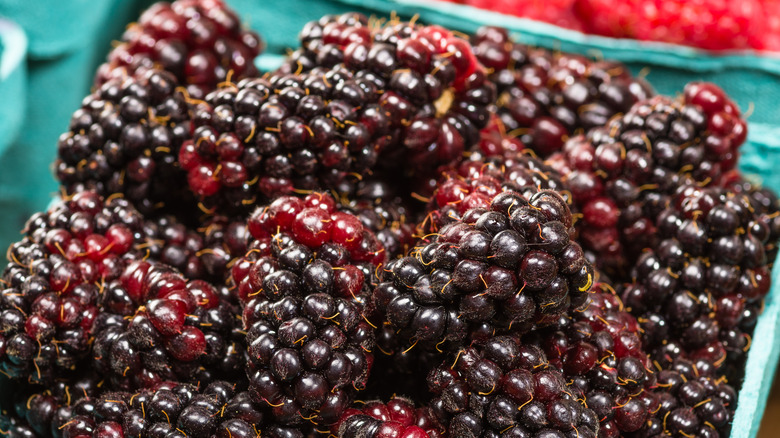 Marionberries in basket