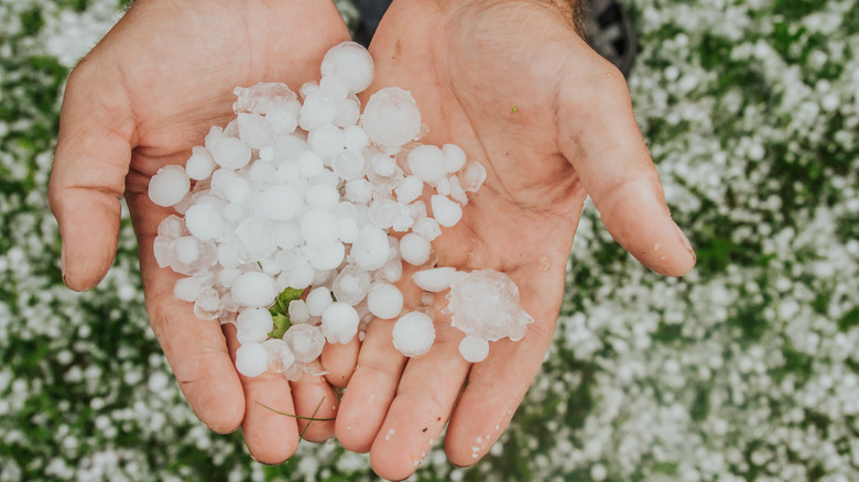 Hailstones in hand