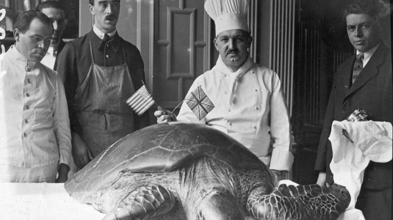 Chef with sea turtle