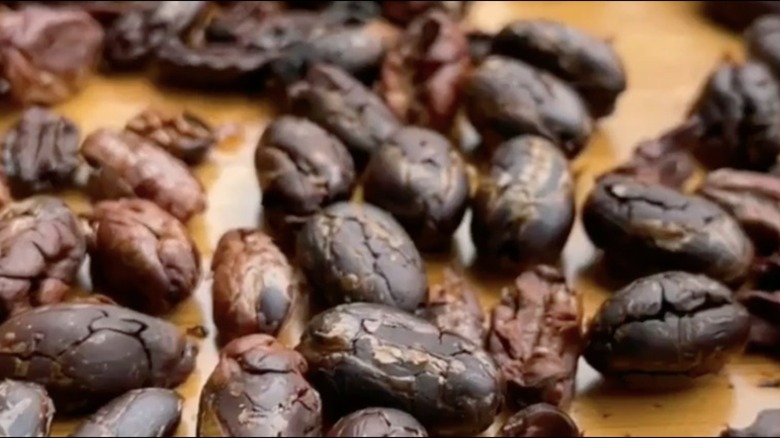 Screenshot from video of chocolate being made