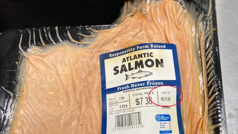 Expired Salmon