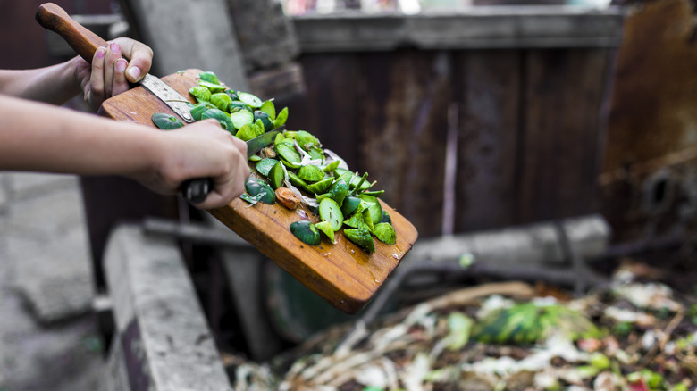 old vegetables being tossed in a compost bin