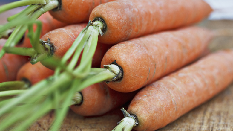 Image of a carrot stalk