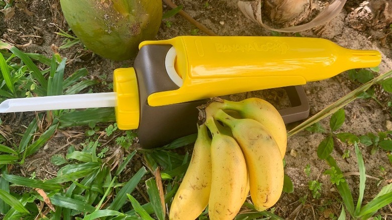 Banana Loca kitchen gadget