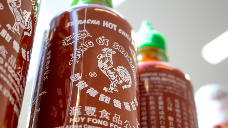 Bottles of sriracha in row