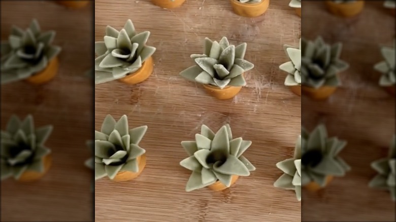 Succulent-shaped raviolis