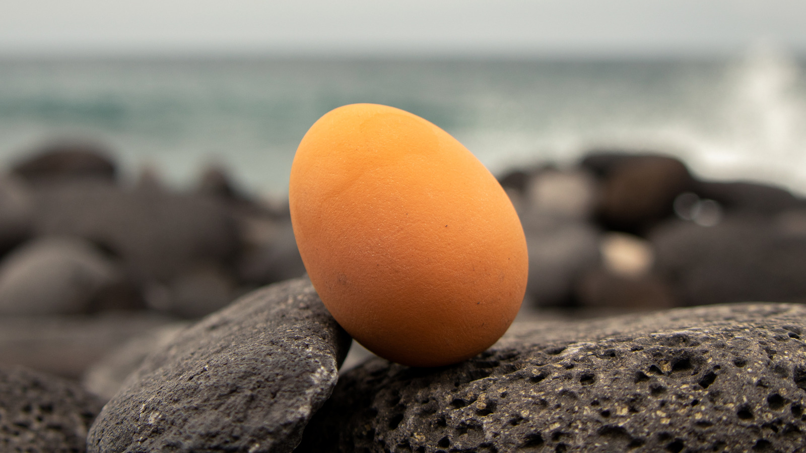 This egg