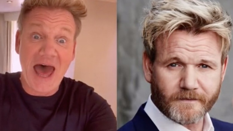 Gordon Ramsay reacts to beard