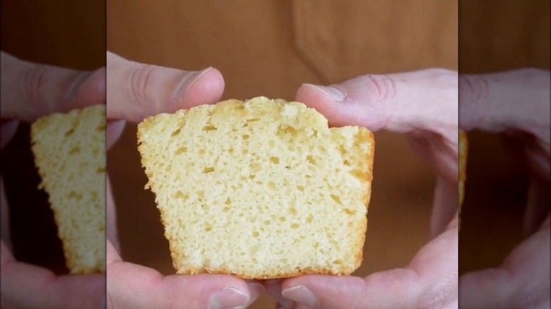 hands holding moist cake slice