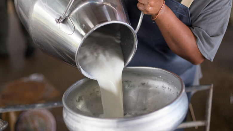 A jug of milk being dumped at a farm. 