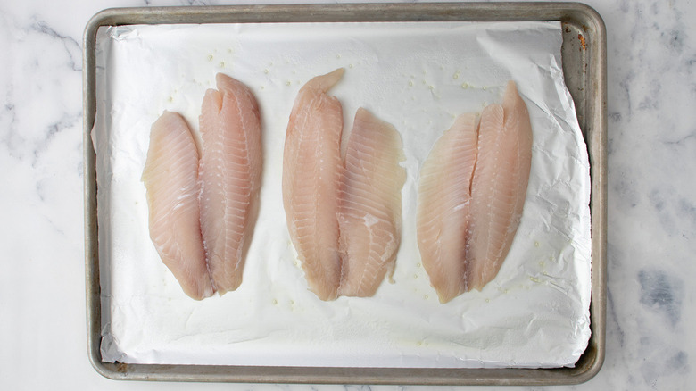 tilapia filets in pan