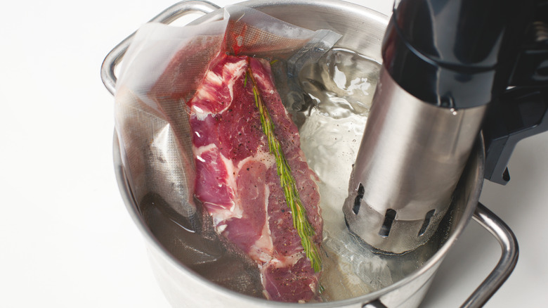 Sous vide cooker and steak