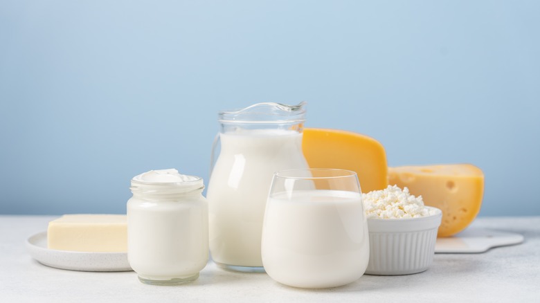 Array of dairy products on white counter