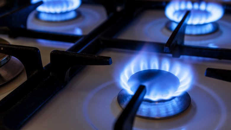 gas range stove blue flame