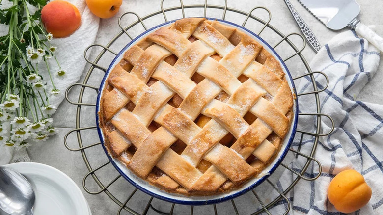 apricot pie