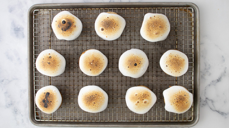 cupcakes with toasted marshmallow topping