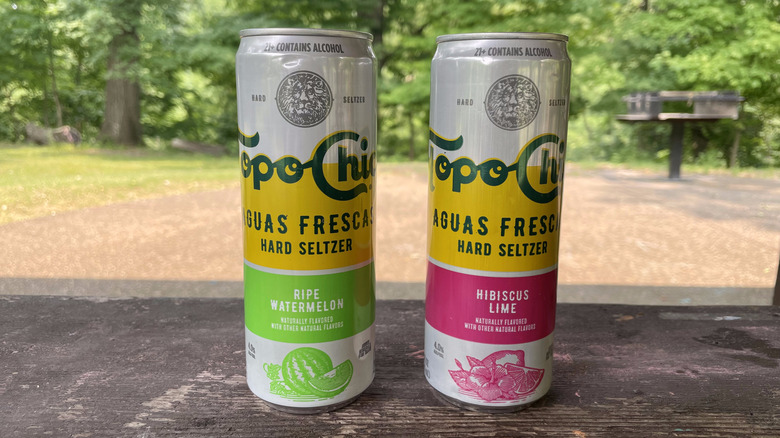 Two cans of seltzer on a picnic table