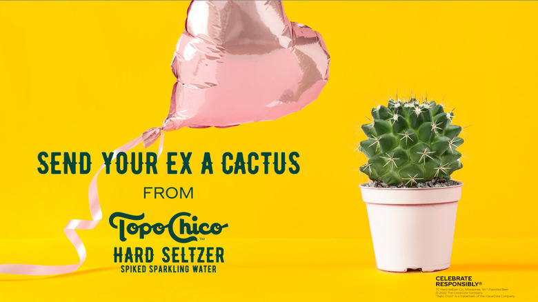 topo chico advertisement to send ex cactus, yellow background with pink heart balloon and mini cactus