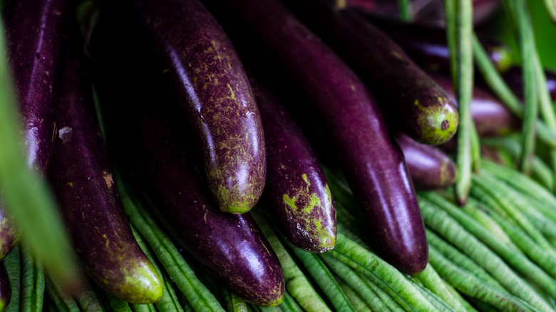 bunch of long Filipino eggplants