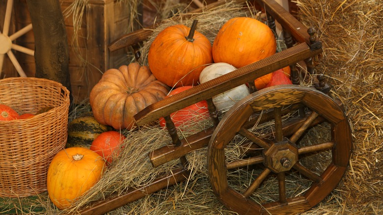 Pumpkins on hay cart