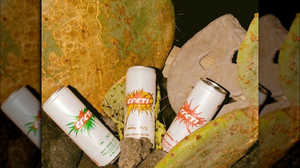 Cacti cans displayed on cactus