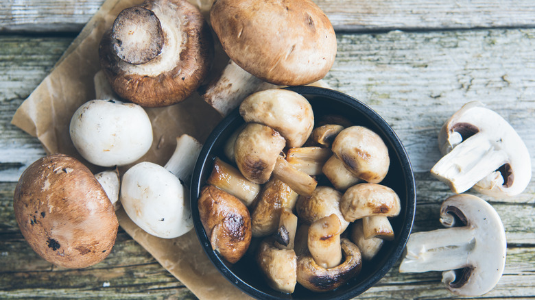 portobello, white, and cremini mushrooms