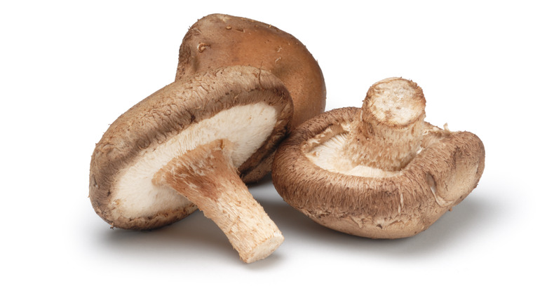 Portobello Mushrooms Vs Shiitake: Everything You Need To Know