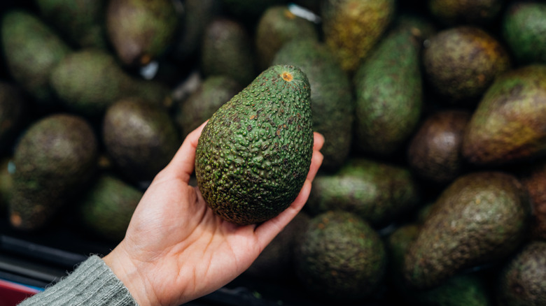 person feeling avocado