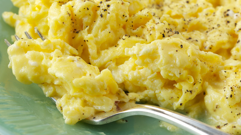 scrambled eggs close up