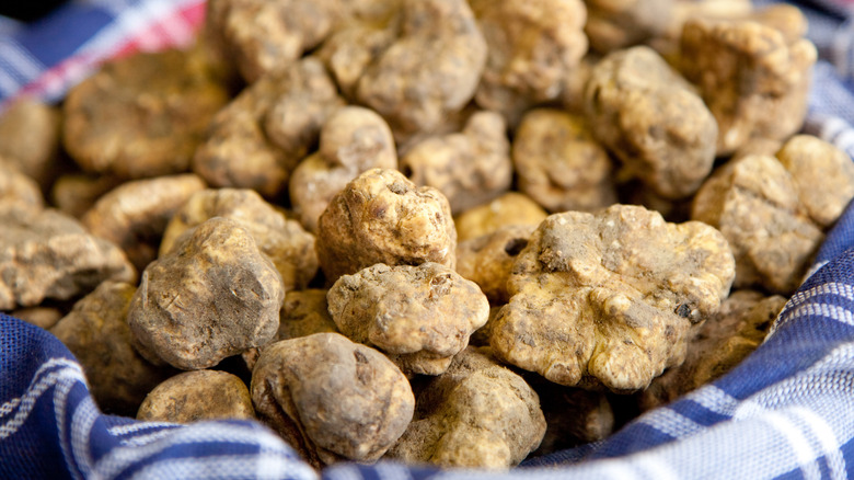 basket of white truffles