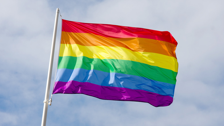 Raised Pride flag waving in sky