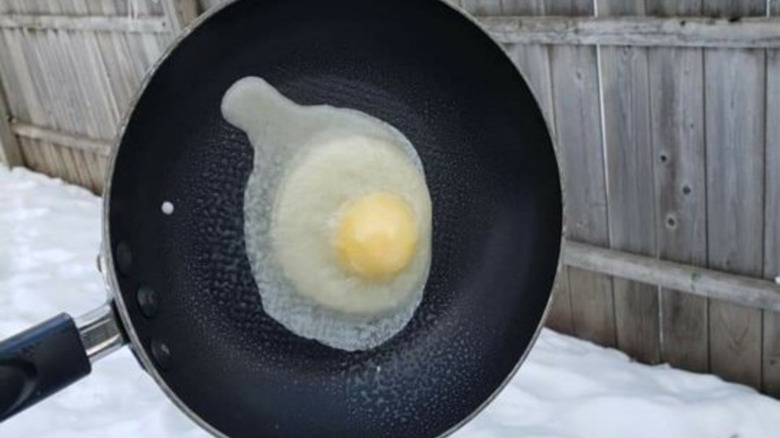 A frozen "fried" egg