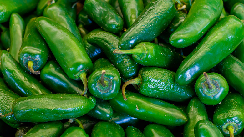 Pile of jalapeño peppers