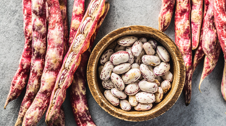 Cranberry pods and shelled cranberries 