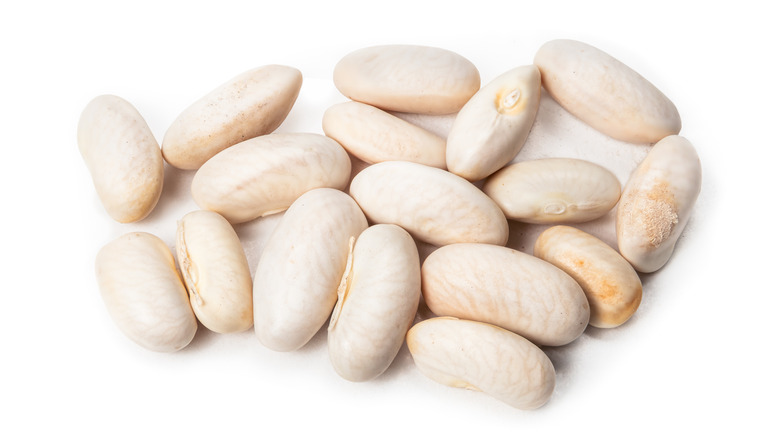 Navy beans on white background 